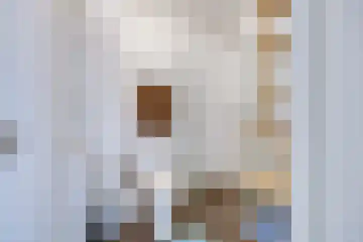 Karawanken 80 Utrecht thumbnail 30