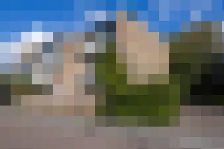 Karawanken 80 Utrecht thumbnail 5