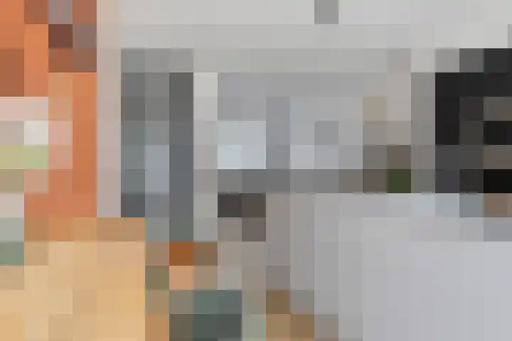 Karawankenstraat 20 Tilburg thumbnail 10