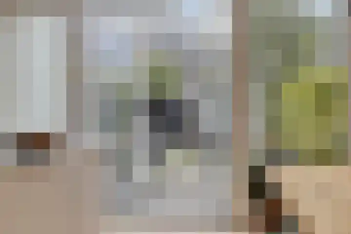 Karawankenstraat 20 Tilburg thumbnail 14