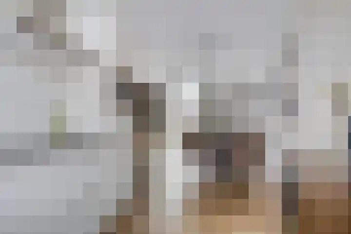 Karawankenstraat 25 Tilburg thumbnail 8