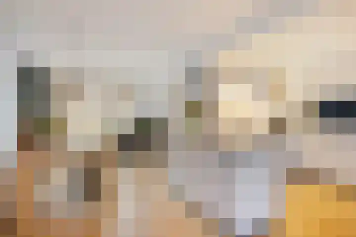 Karbindersdreef 24 Maastricht thumbnail 11