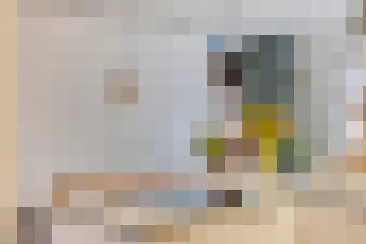 Karbindersdreef 24 Maastricht thumbnail 13