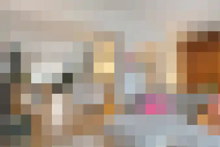 Karbindersdreef 24 Maastricht thumbnail 4