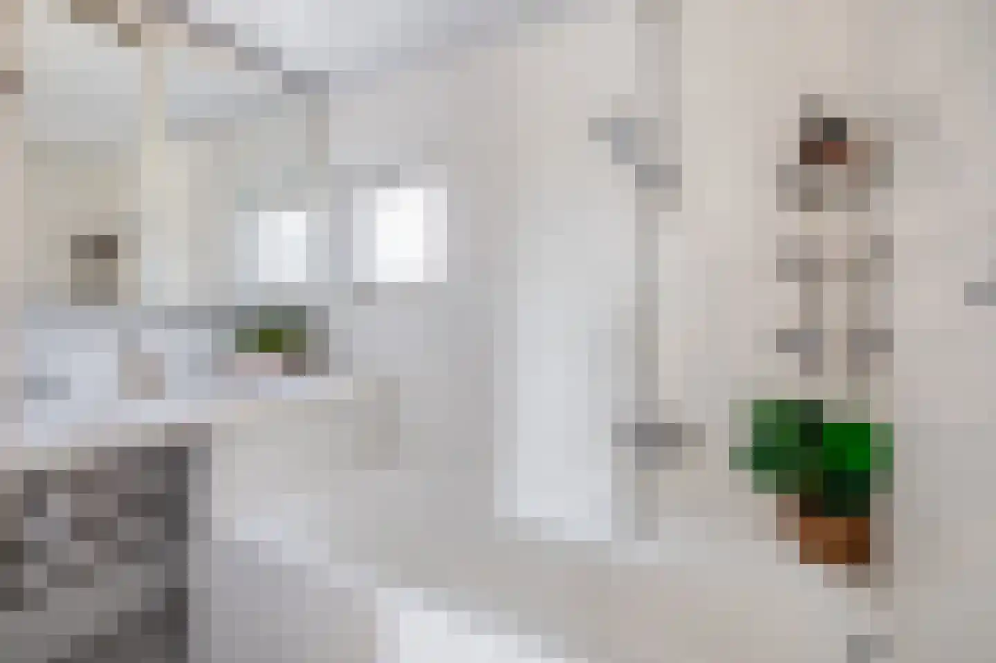 Karbindersdreef 49 Maastricht thumbnail 18