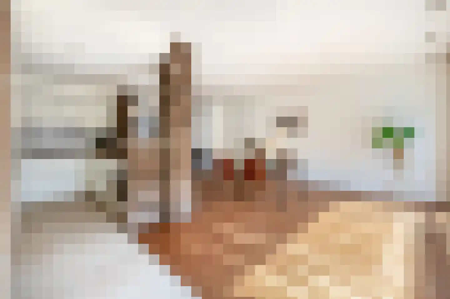 Karbindersdreef 49 Maastricht thumbnail 6