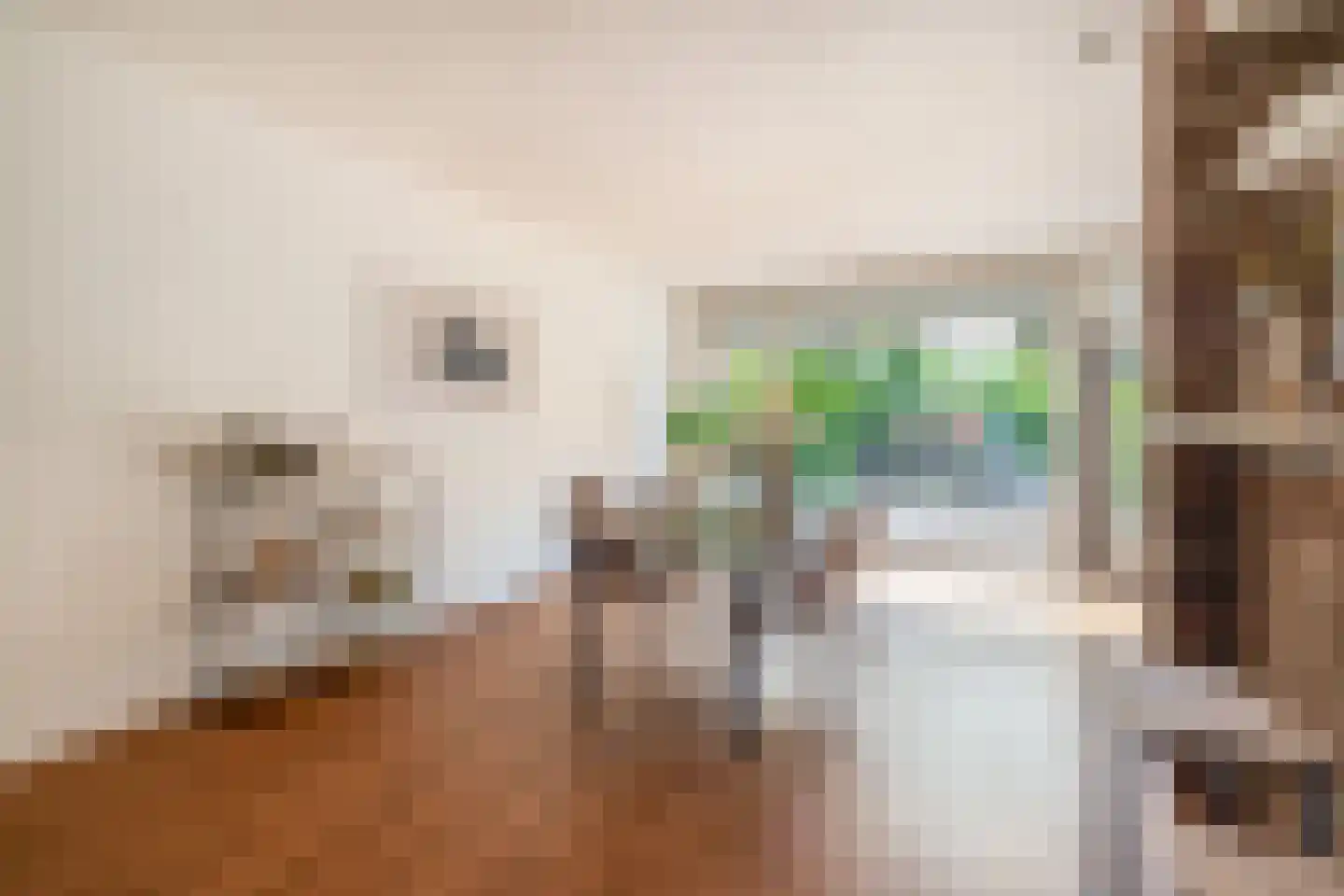 Karbindersdreef 49 Maastricht thumbnail 7