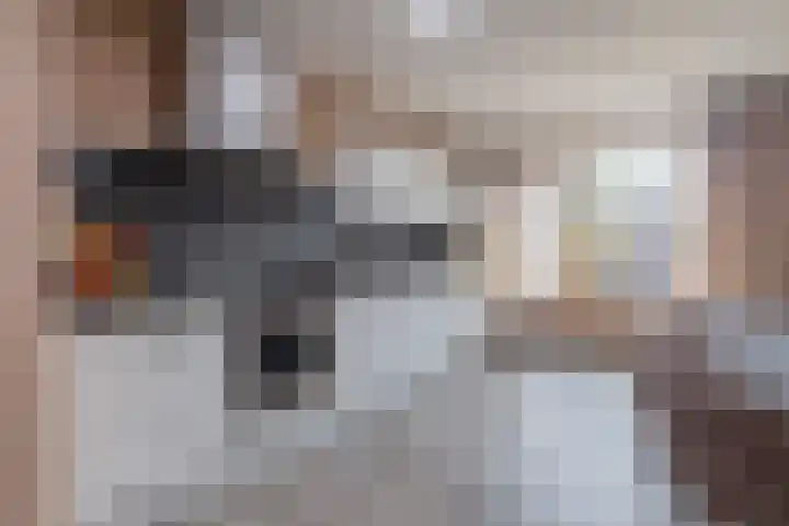 Karbindersstraat 104 Venlo thumbnail 11