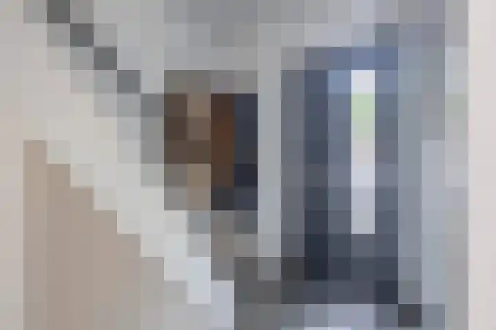 Karbindersstraat 104 Venlo thumbnail 12
