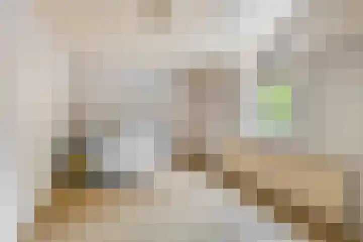 Karbindersstraat 37 Venlo thumbnail 10