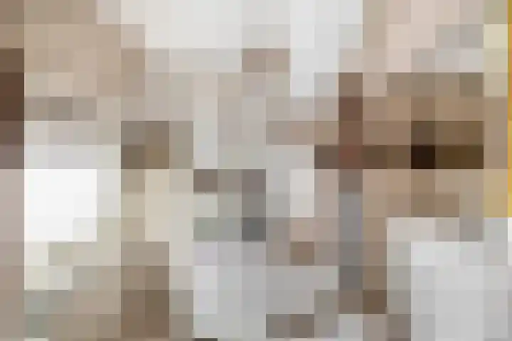 Karbindersstraat 37 Venlo thumbnail 11
