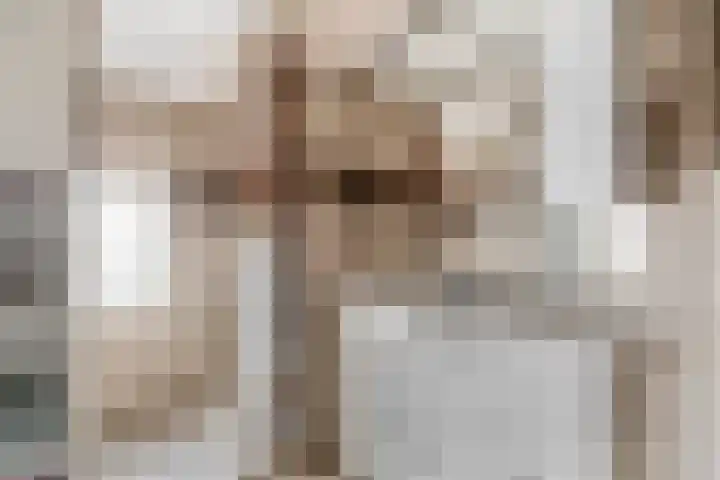 Karbindersstraat 37 Venlo thumbnail 12