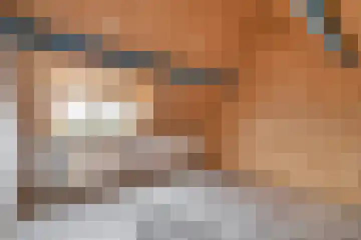 Karbindersstraat 37 Venlo thumbnail 14