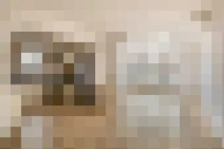 Karbindersstraat 37 Venlo thumbnail 4