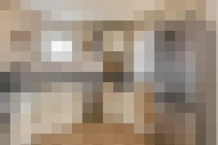 Karbindersstraat 37 Venlo thumbnail 5
