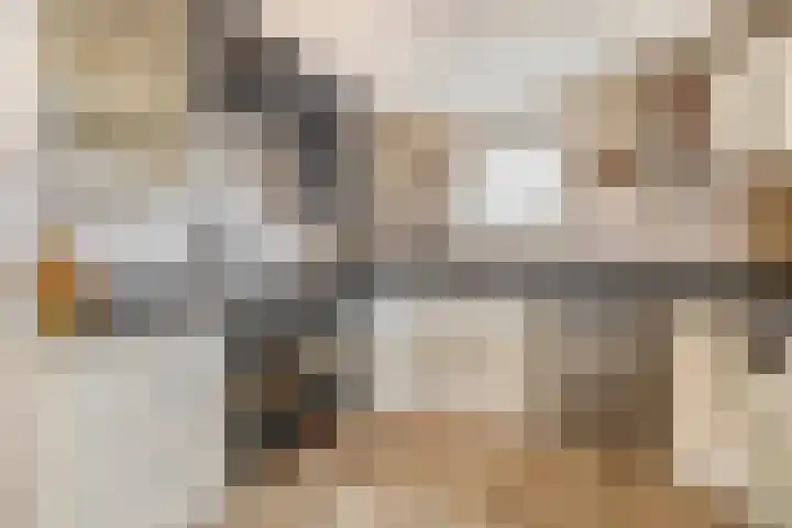 Karbindersstraat 37 Venlo thumbnail 6