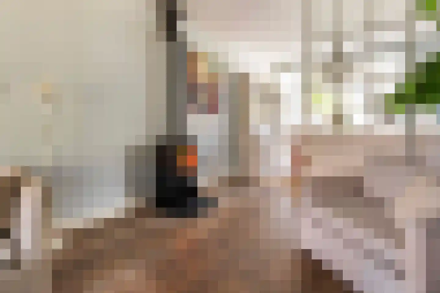 Karbouwstraat 10 Bussum thumbnail 5