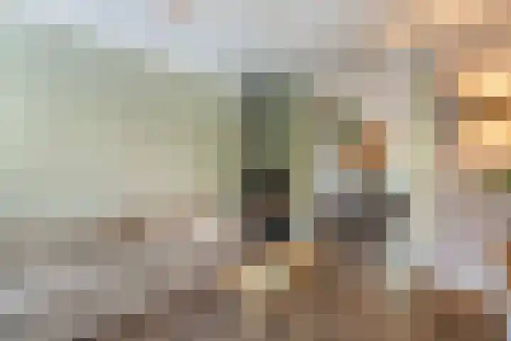 Karbouwstraat 4 Bussum thumbnail 20