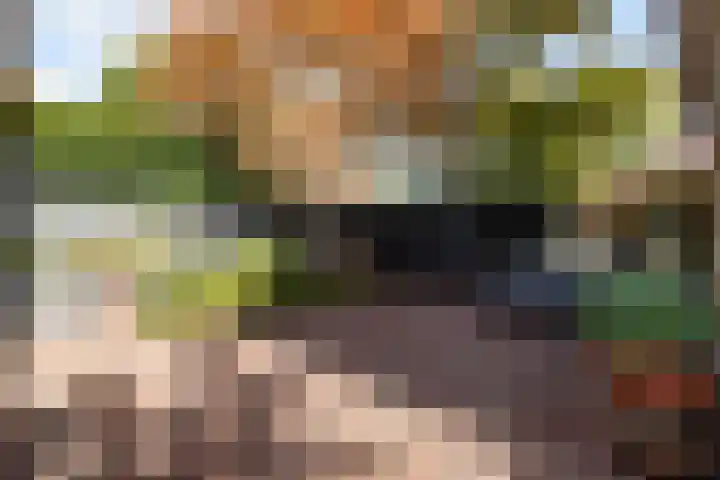 Karbouwstraat 4 Bussum thumbnail 33