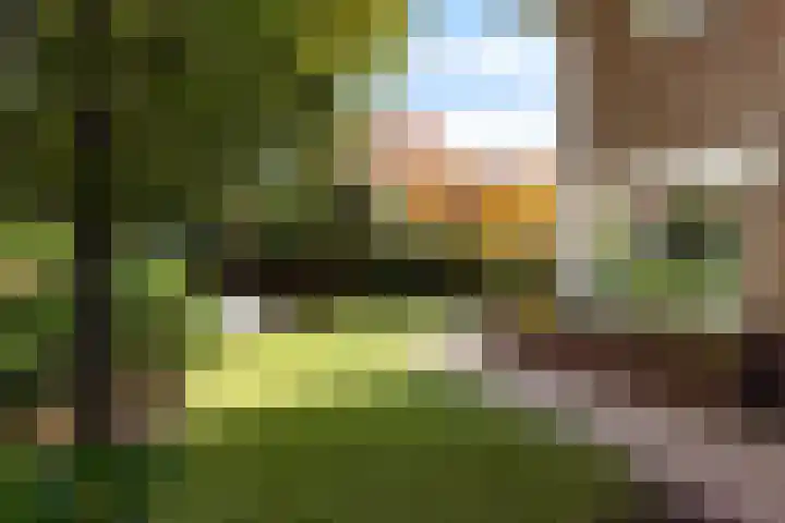 Karbouwstraat 4 Bussum thumbnail 4