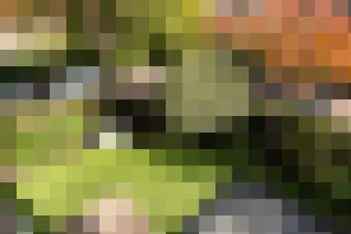 Karbouwstraat 4 Bussum thumbnail 42