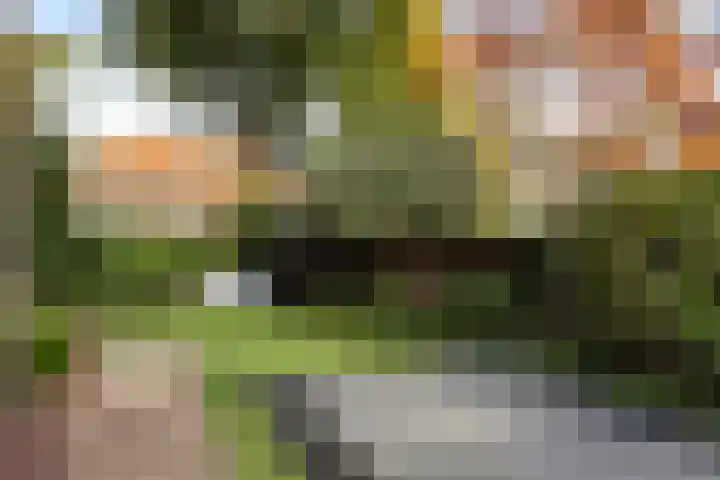 Karbouwstraat 4 Bussum thumbnail 5
