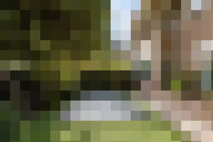 Karbouwstraat 4 Bussum thumbnail 6