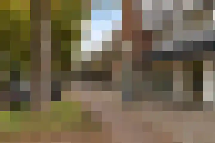 Karbouwstraat 4 Bussum thumbnail 65