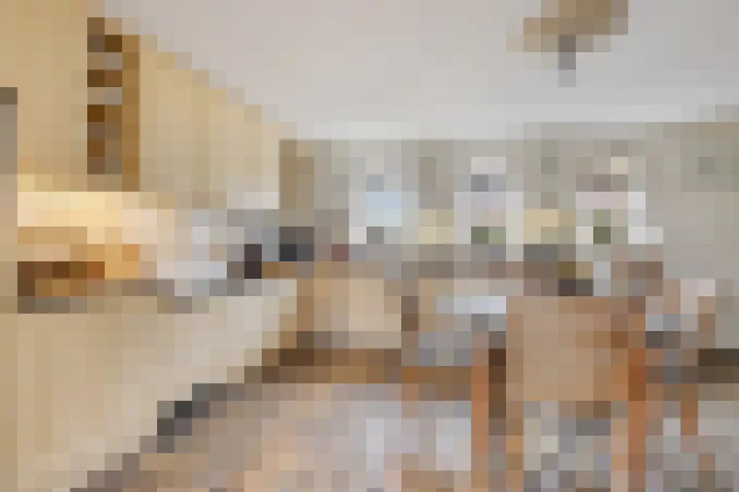 Karbrugsevoetpad 2 Huissen thumbnail 10