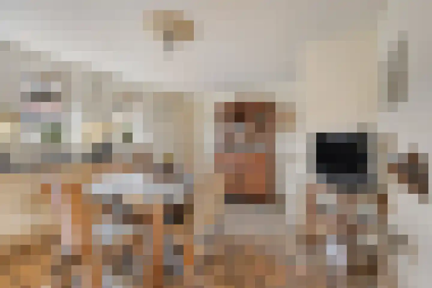 Karbrugsevoetpad 2 Huissen thumbnail 11