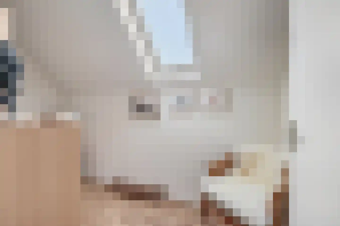 Karbrugsevoetpad 2 Huissen thumbnail 18