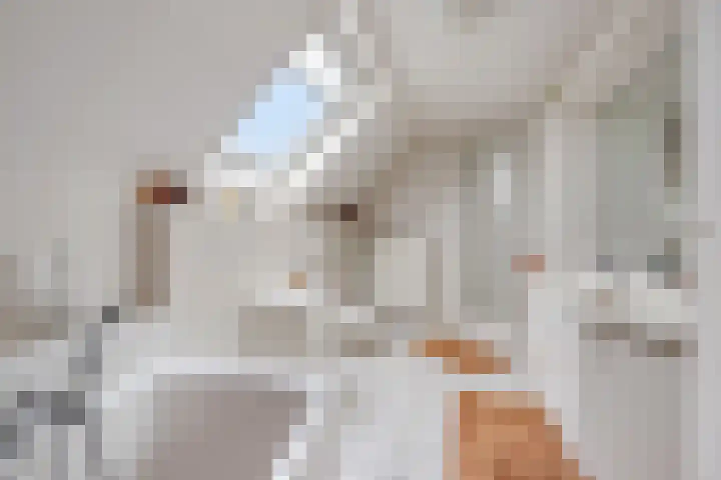 Karbrugsevoetpad 2 Huissen thumbnail 20