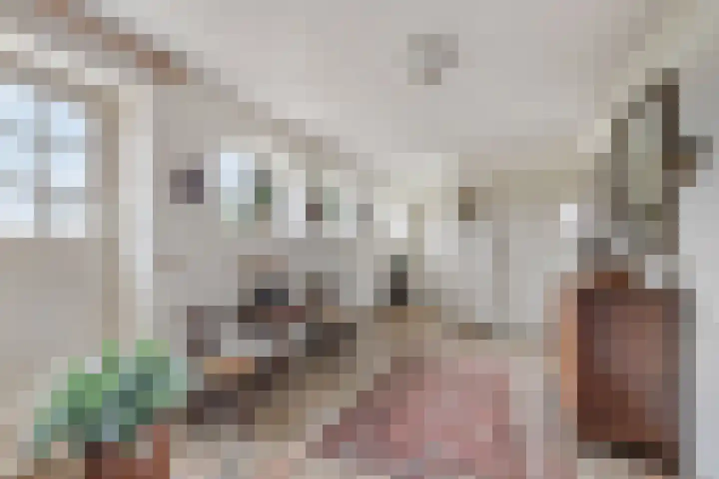 Karbrugsevoetpad 2 Huissen thumbnail 23