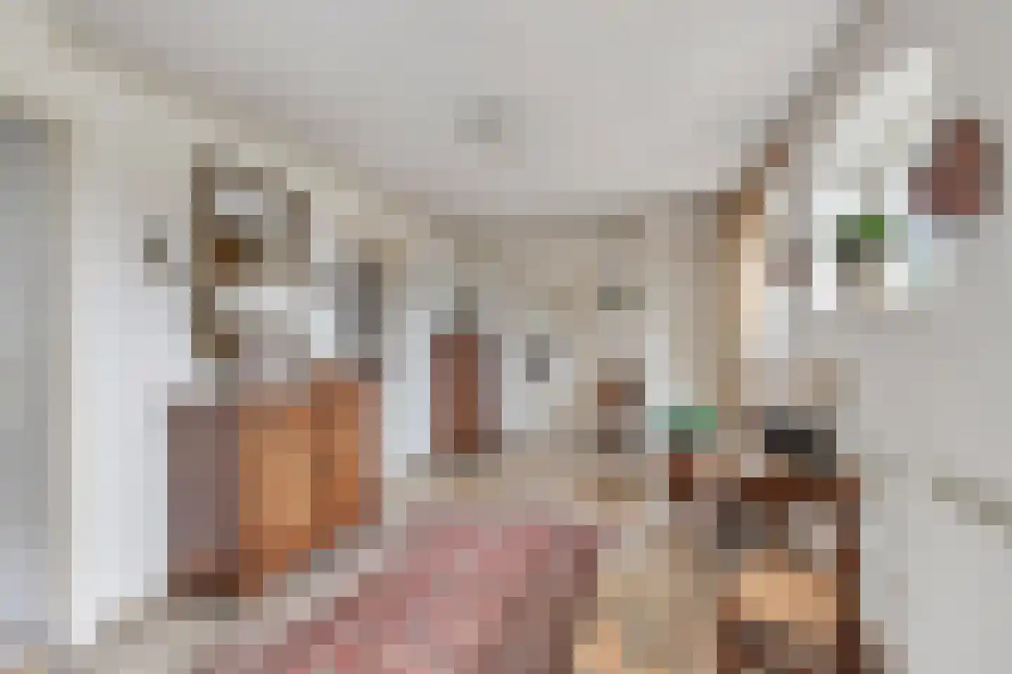 Karbrugsevoetpad 2 Huissen thumbnail 8