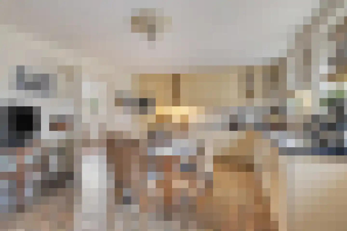 Karbrugsevoetpad 2 Huissen thumbnail 9