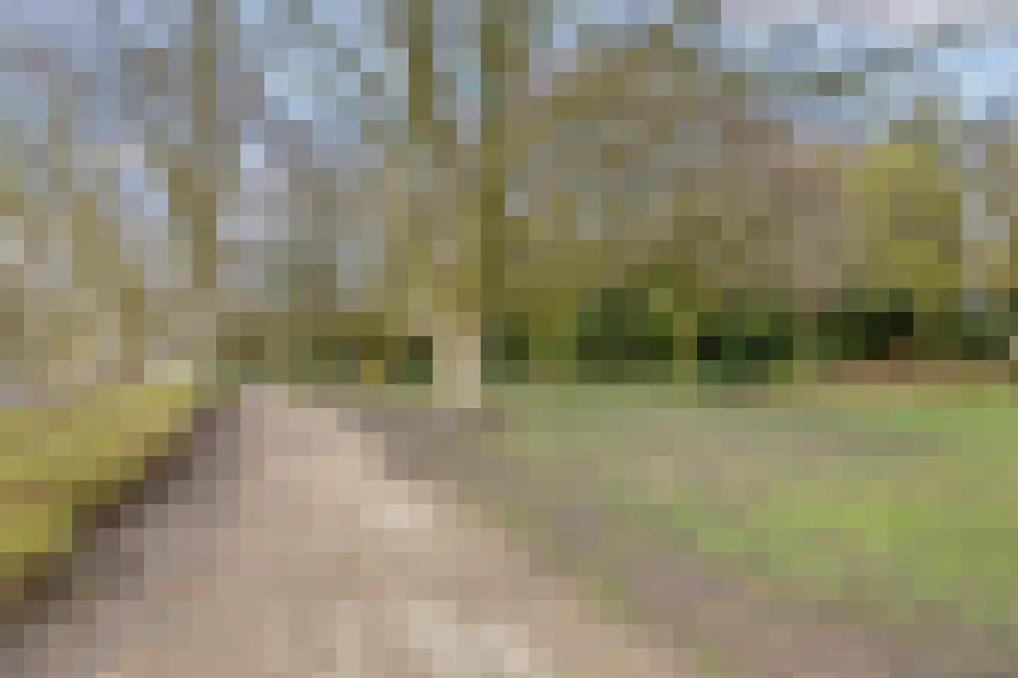 Kard. de Jongstraat 11 Valkenswaard thumbnail 30