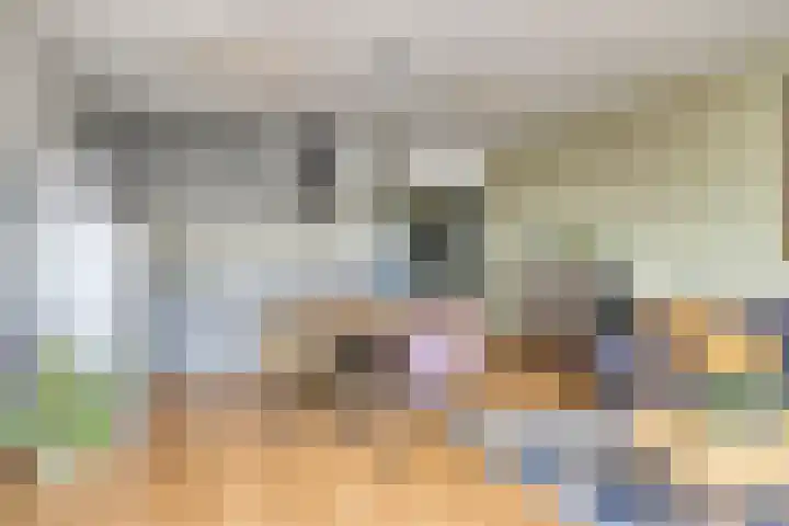 Kard. de Jongstraat 15 Valkenswaard thumbnail 12