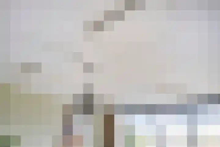 Kard. de Jongstraat 15 Valkenswaard thumbnail 15