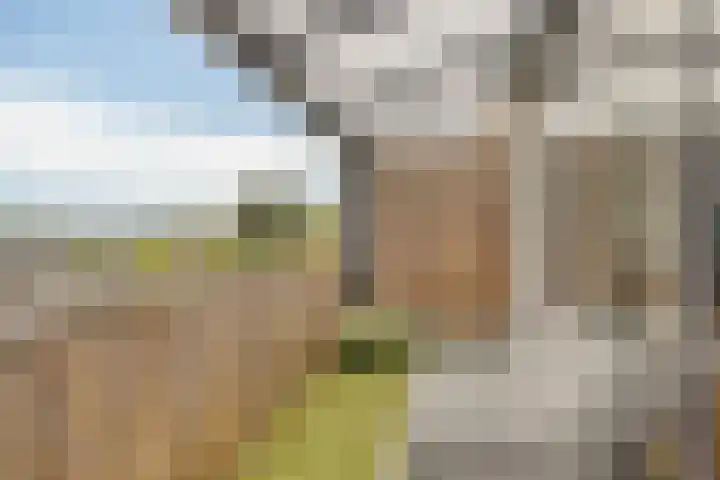 Kard. de Jongstraat 15 Valkenswaard thumbnail 24