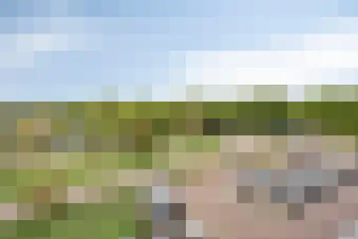 Kard. de Jongstraat 15 Valkenswaard thumbnail 25