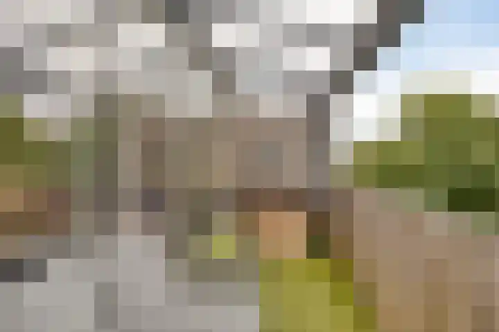 Kard. de Jongstraat 15 Valkenswaard thumbnail 5