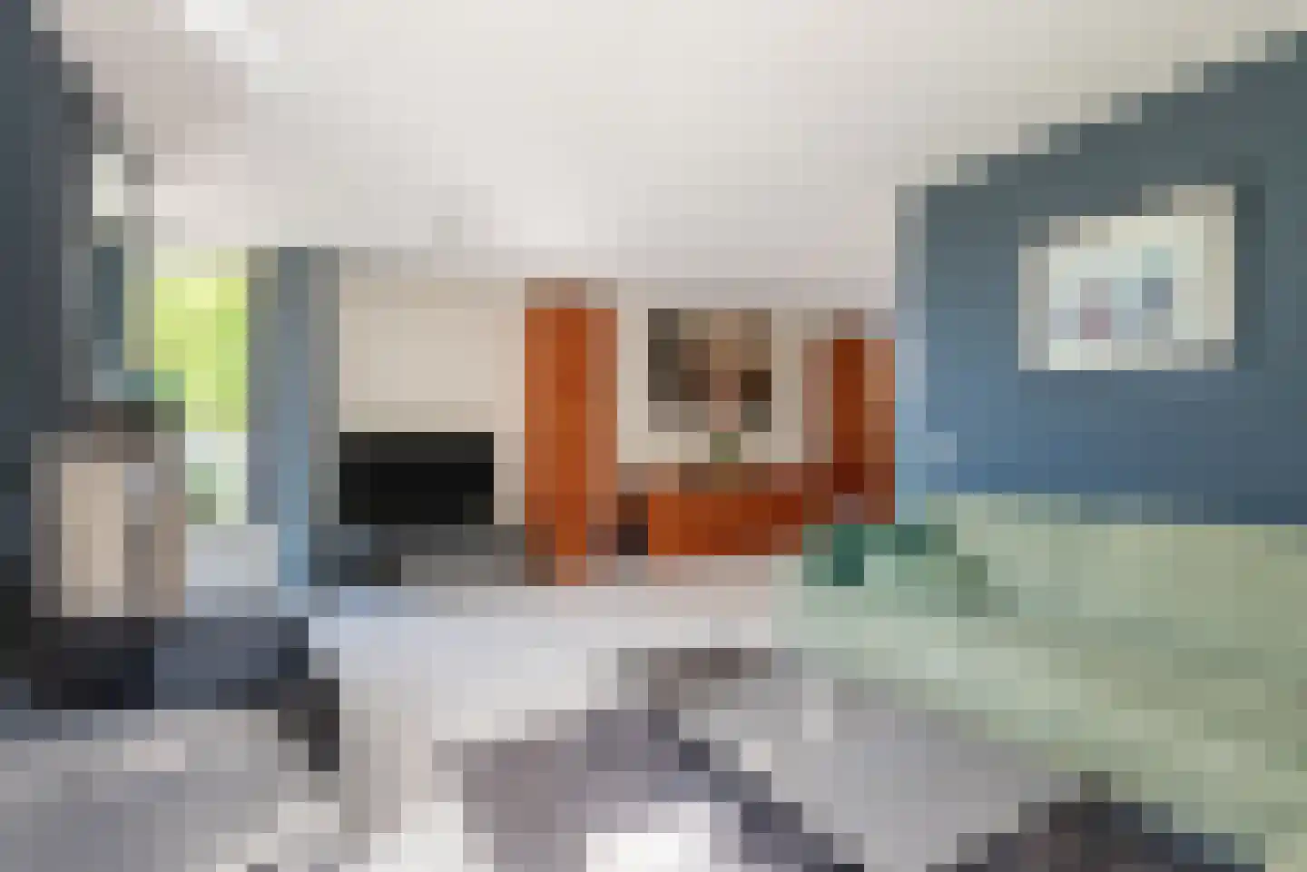 Kard. de Jongstraat 2 Valkenswaard thumbnail 13