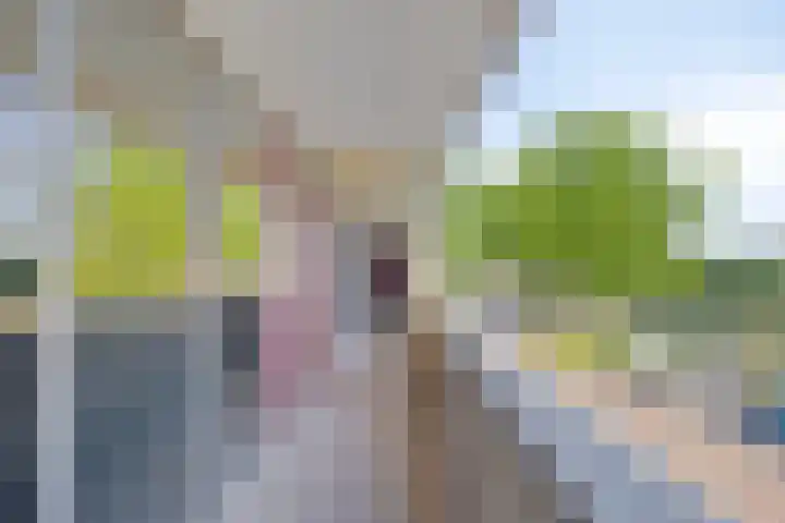 Kard. de Jongstraat 3 G Valkenswaard thumbnail 10