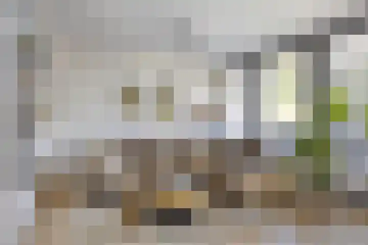 Kard. de Jongstraat 3 G Valkenswaard thumbnail 15