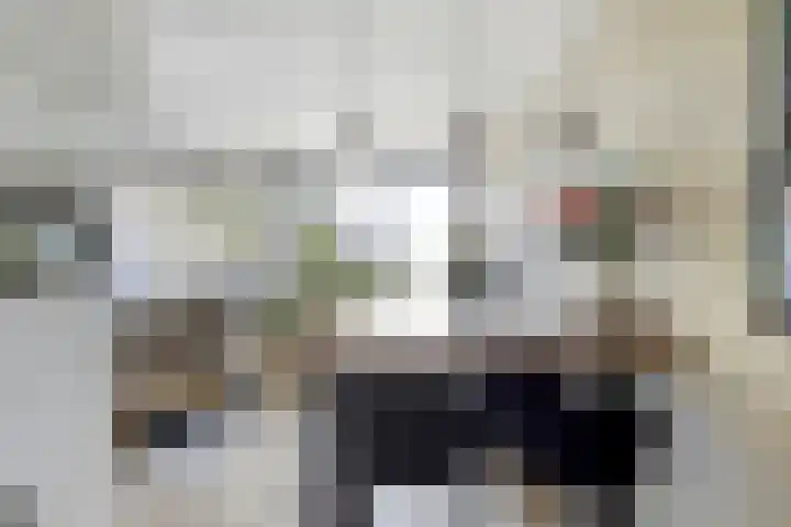 Kard. de Jongstraat 3 G Valkenswaard thumbnail 17