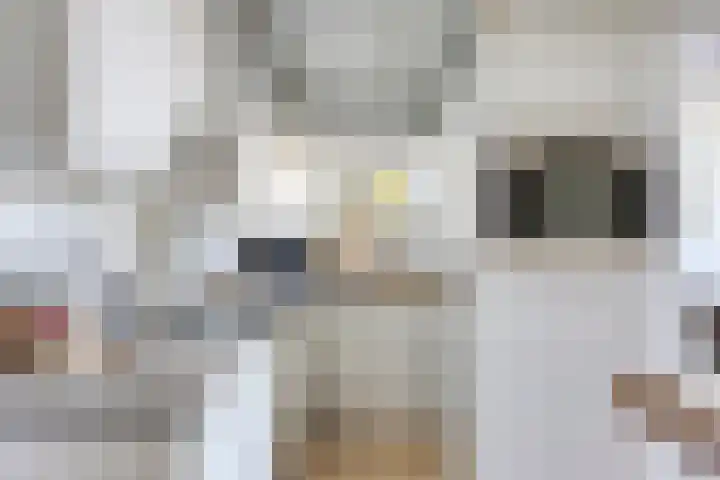 Kard. de Jongstraat 3 G Valkenswaard thumbnail 18