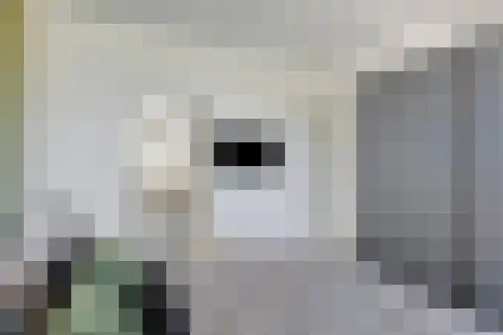 Kard. de Jongstraat 3 G Valkenswaard thumbnail 22