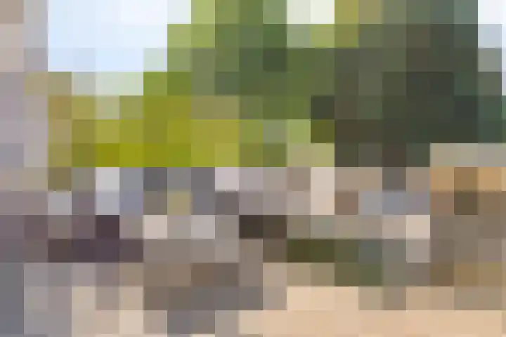Kard. de Jongstraat 3 G Valkenswaard thumbnail 27