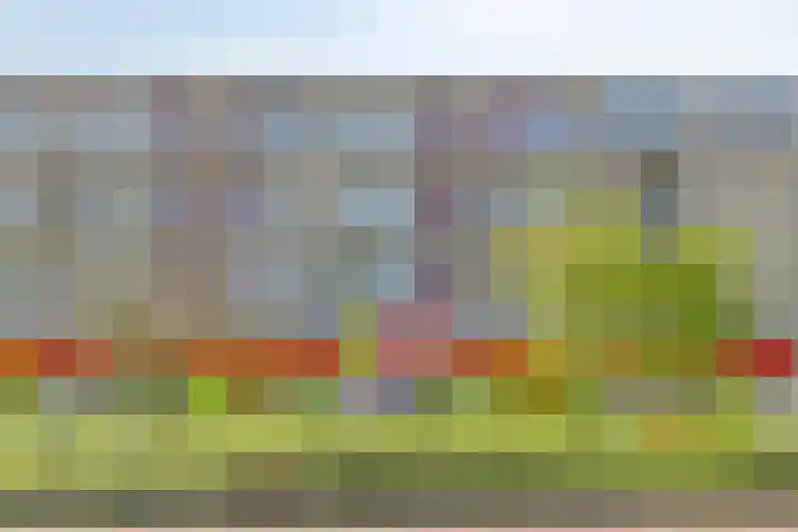 Kard. de Jongstraat 3 G Valkenswaard thumbnail 6