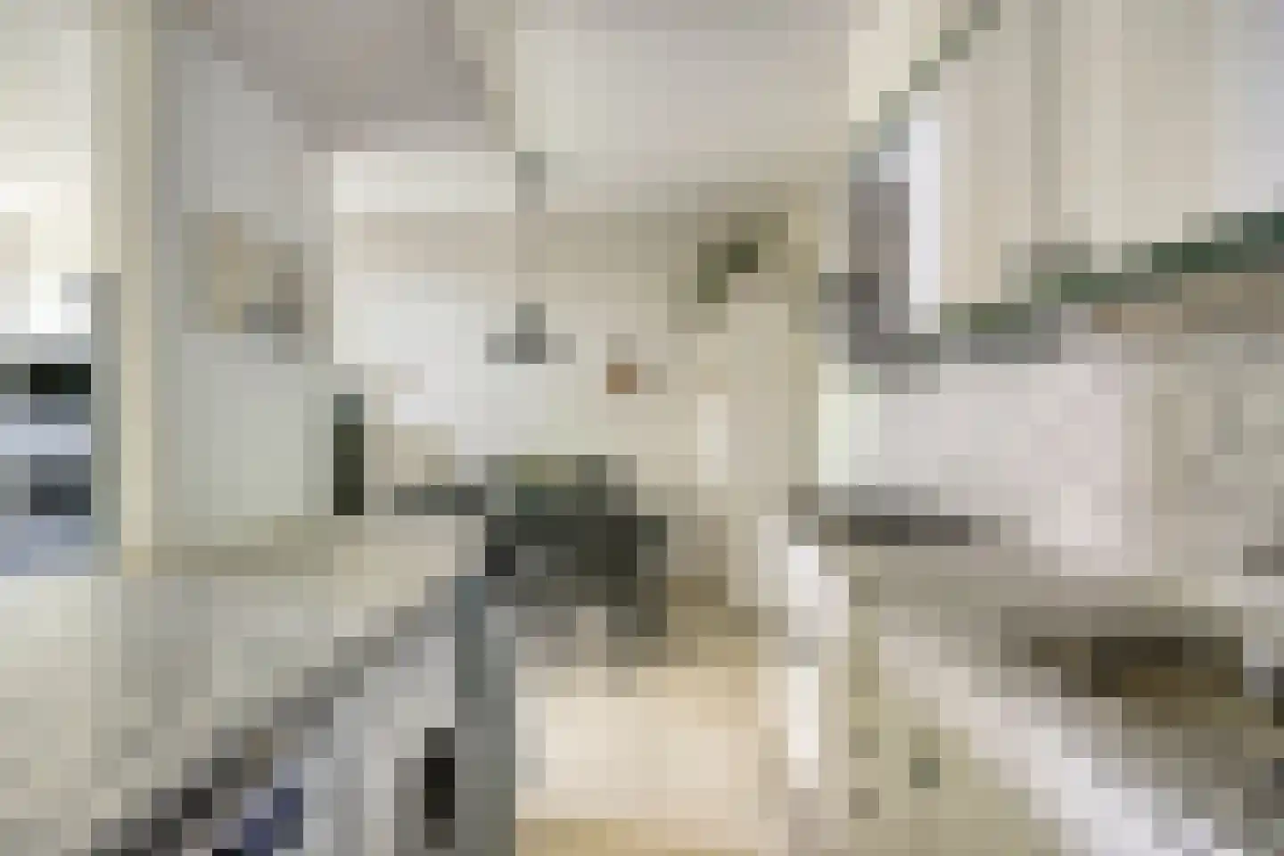 Kard. de Jongstraat 3 Valkenswaard thumbnail 10